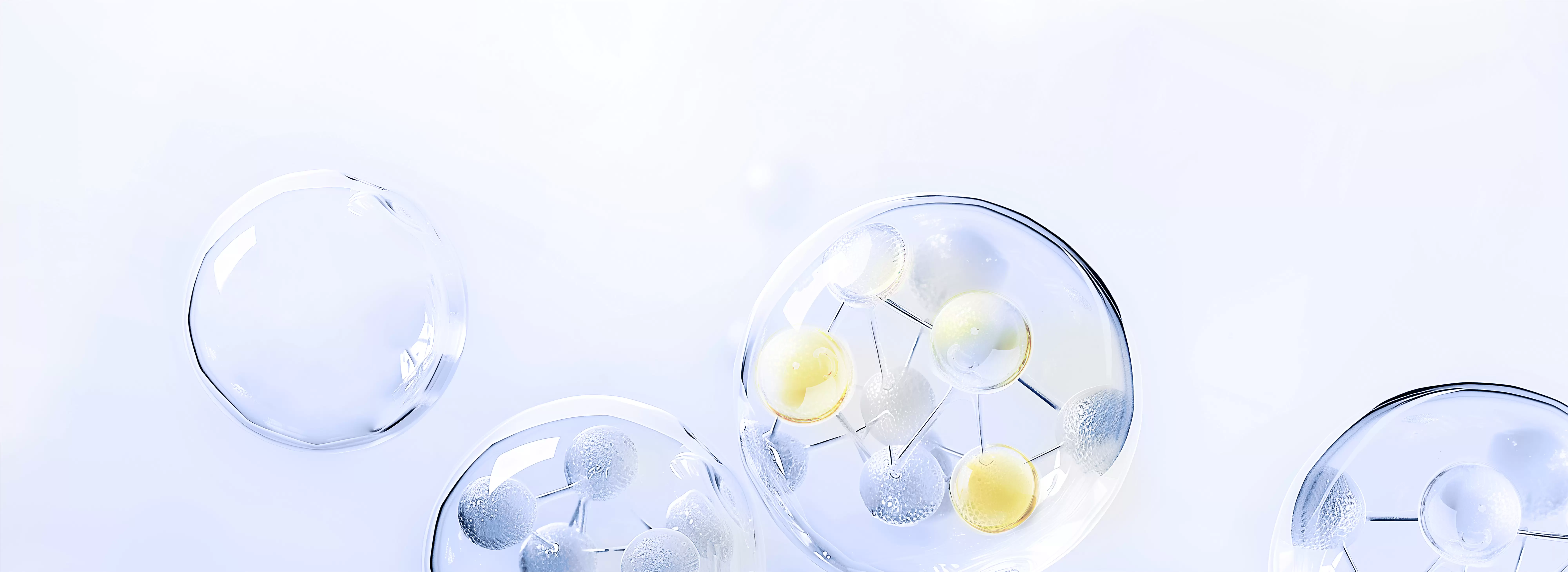 Viable Ceramide