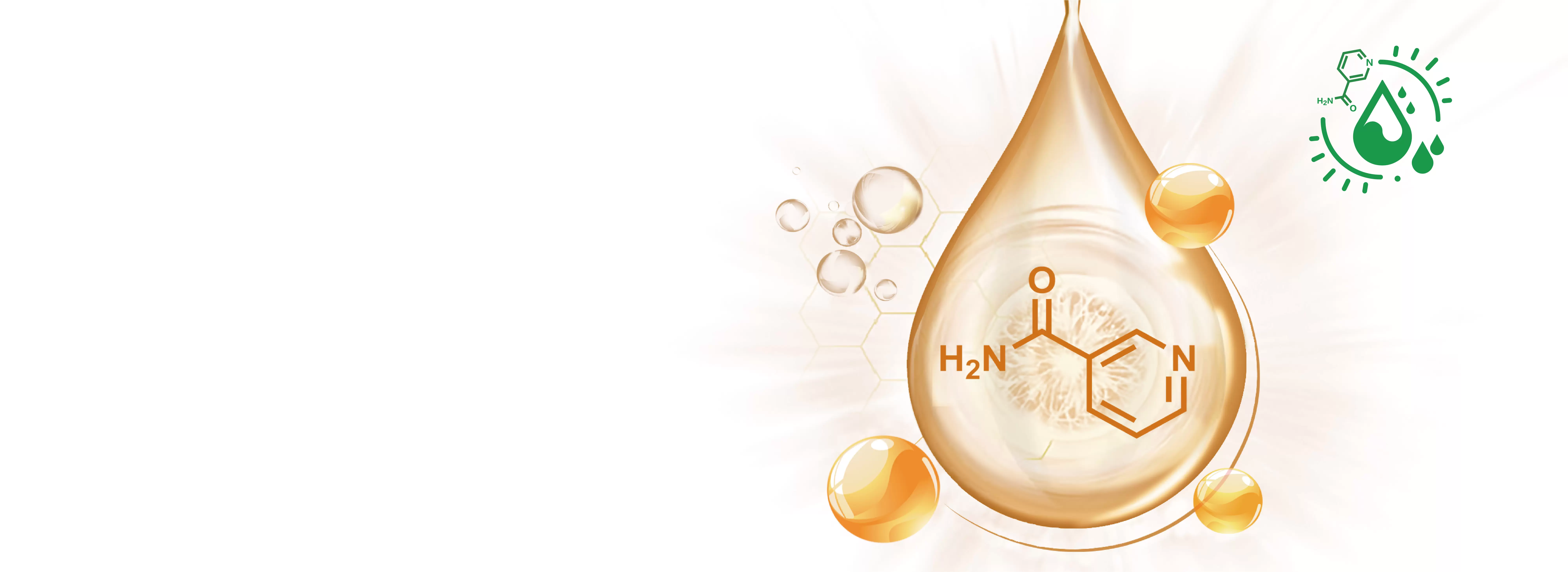Viablife New Generation Nicotinamide