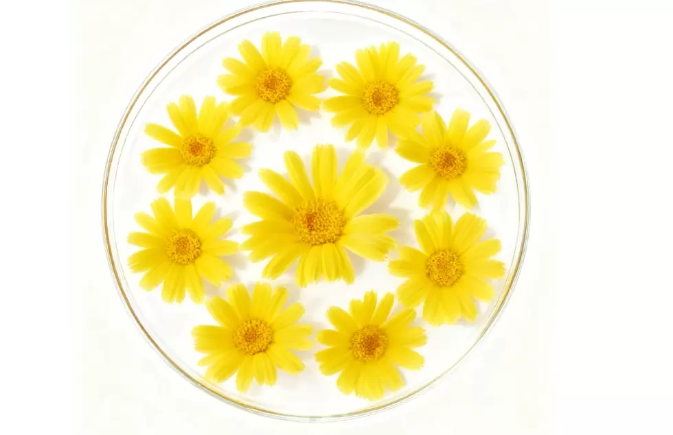 Sustainable Skincare with Biosynthetic Natural α-Bisabolol