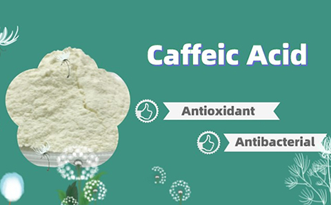 Caffeic Acid, A Natural Ingredient with Anti-Cancer Properties