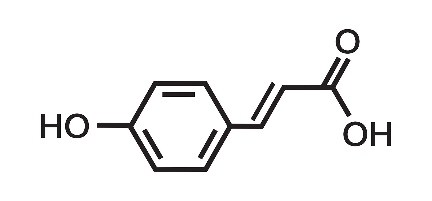 ρ-COUMARIC ACID