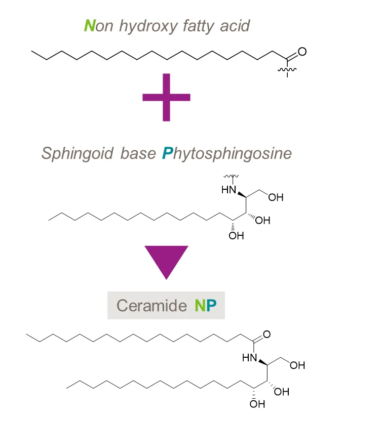 ViableCare Ceramide NP