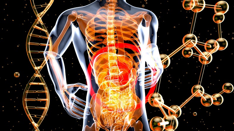 D-Tagatose as Prebiotics Contribute to Human Intestinal Health